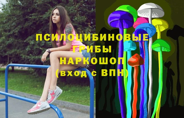 spice Елизово