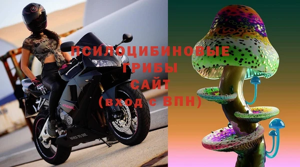 герыч Ельня
