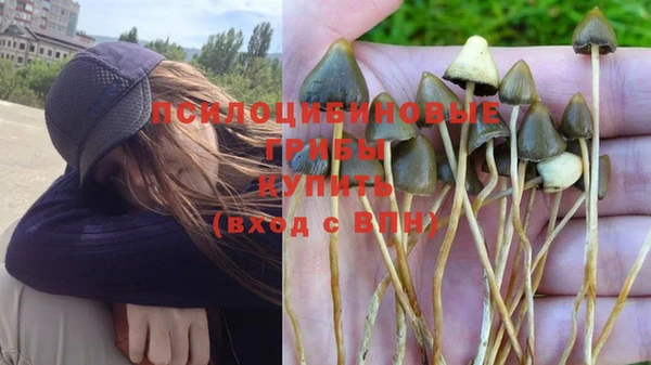 spice Елизово