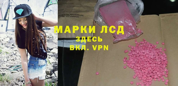 spice Елизово