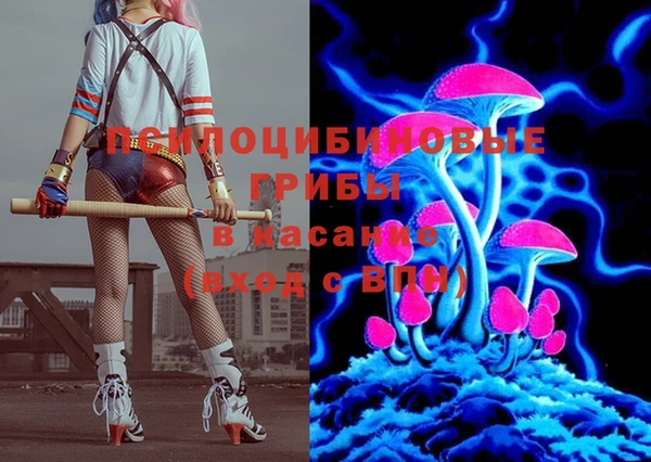 spice Елизово