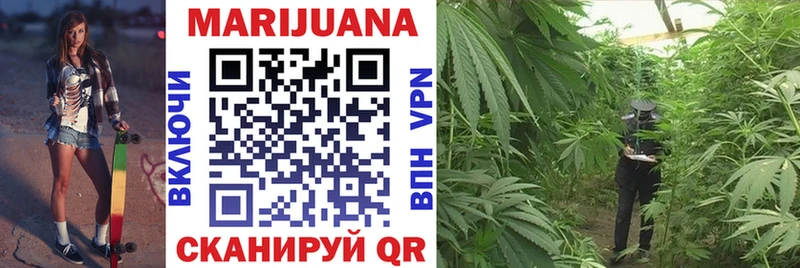 цена наркотик  Ивантеевка  Конопля VHQ 